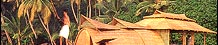 Allepey City Guide-Kerala-India, Eindiatourism