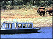 Backwater & Wildlife AllepeyTours- Allepey-Kerala-India, eindiatourism