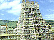 Tirupathi, Andhra Pradesh