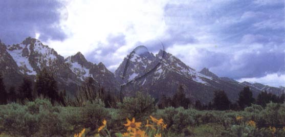 Arunachal Pradesh