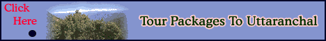 Click Here to Know More