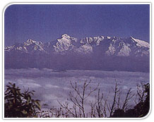 Binsar