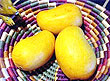 Mango, National Fruit