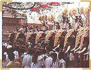 Pooram Festival