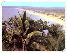 Calangute