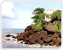 Dona Paula