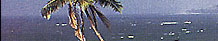 Bharatpur Travel Guide