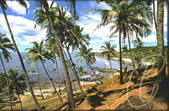 Agonda