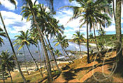 Anjuna