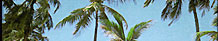 Goa Travel Guide