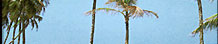 Goa Travel Guide