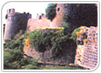 Gulbarga Fort