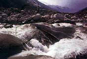 Kullu