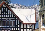 Shimla