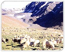 Lahaul, Himachal Pradesh