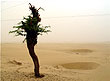 Desert National Park, Jaisalmer