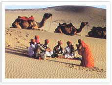 Desert Festival