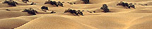 Jaisalmer Travel Guide