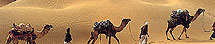 Jaisalmer Travel Guide