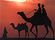 Sand Dunes, Jaisalmer