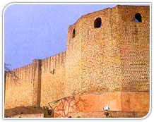 Bahu Fort