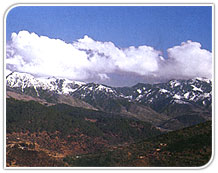 Jammu