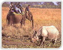 Kaziranga, Assam