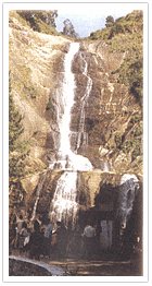 Silver Cascade Fall