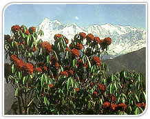 Kumaon