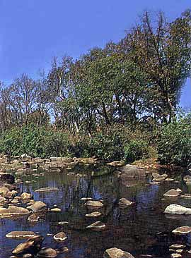 Chitrakoot