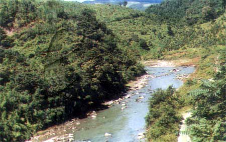 Tuipuli-river