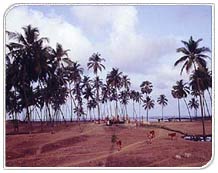 Manori Beach, Mumbai