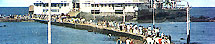 Mumbai Travel Guide