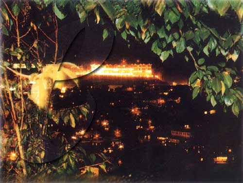 Kohima