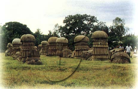 Kachri-ruins