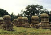 Kachari Ruins