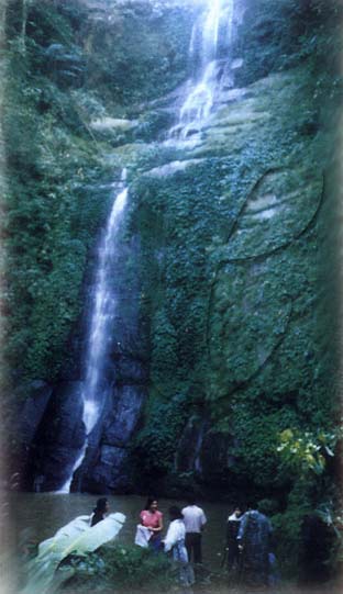 {short description of image}