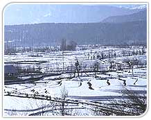 Patnitop