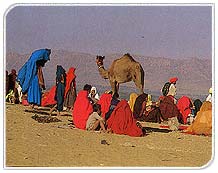 Pushkar Tribals, Pushkar Travel Guide