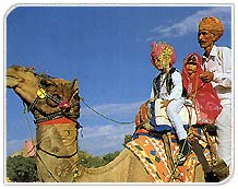 Royal KAfila, Pushkar Travel Guide