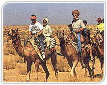 Camel Safari