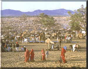 Pushkar Fair