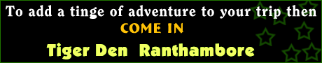 Tiger Den Ranthambore