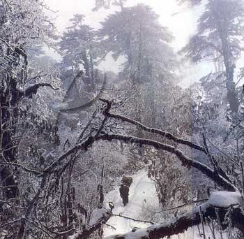 Trekking