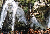 Kuttalam