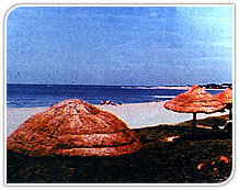 Covelong Beach