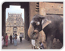 Temple Gate