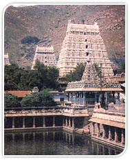 Thiruvannamalai Temple