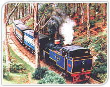 Toy Train, Ooty