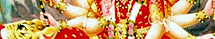 Mata Vaishno Devi Travel Guide